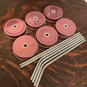 Set of 6 Rose Gold Stainless Steel Mason Jar Lids with Stainless Steel Straws